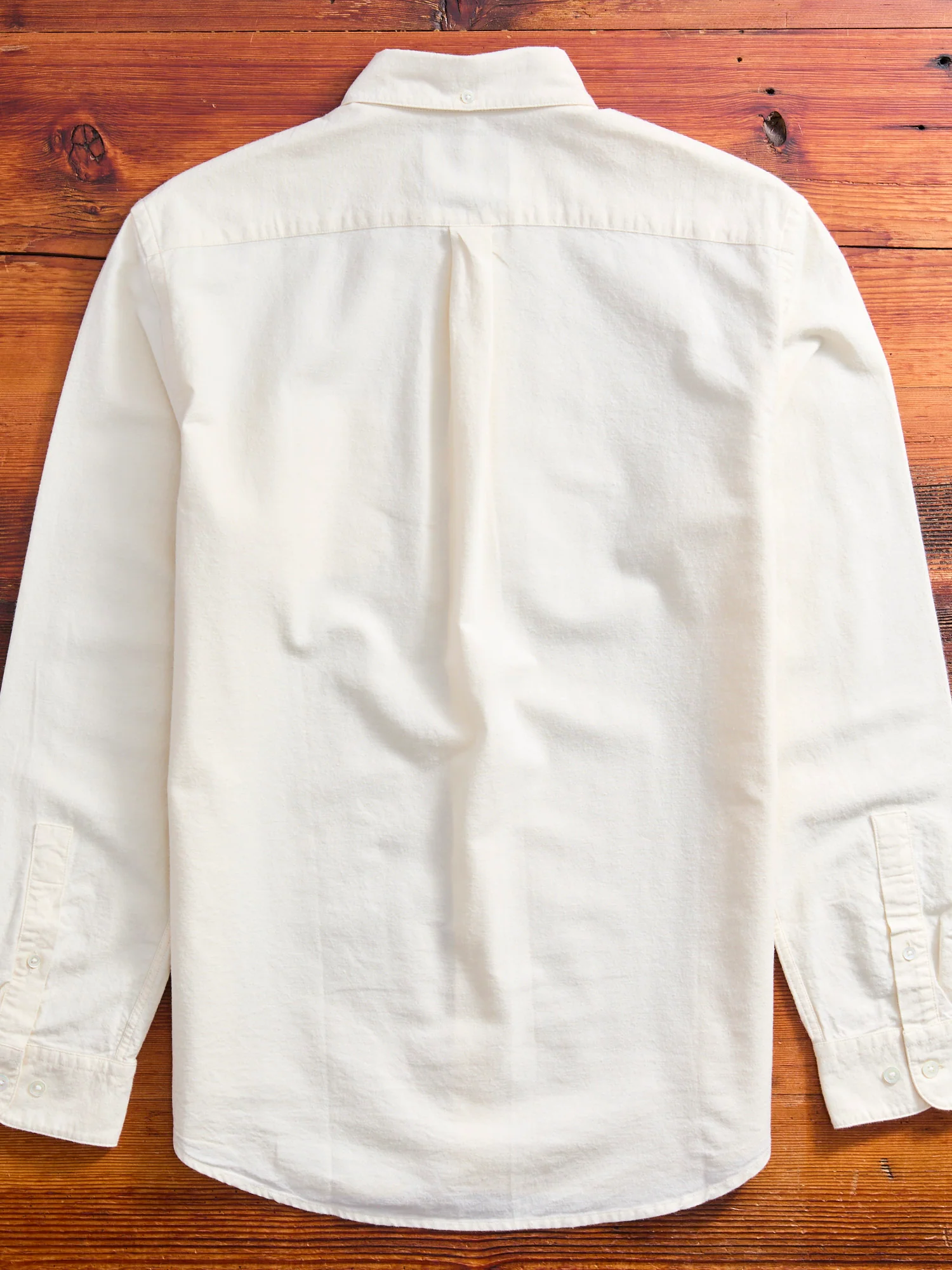 Brushed Oxford Button-Up Shirt in Ecru - Image 9