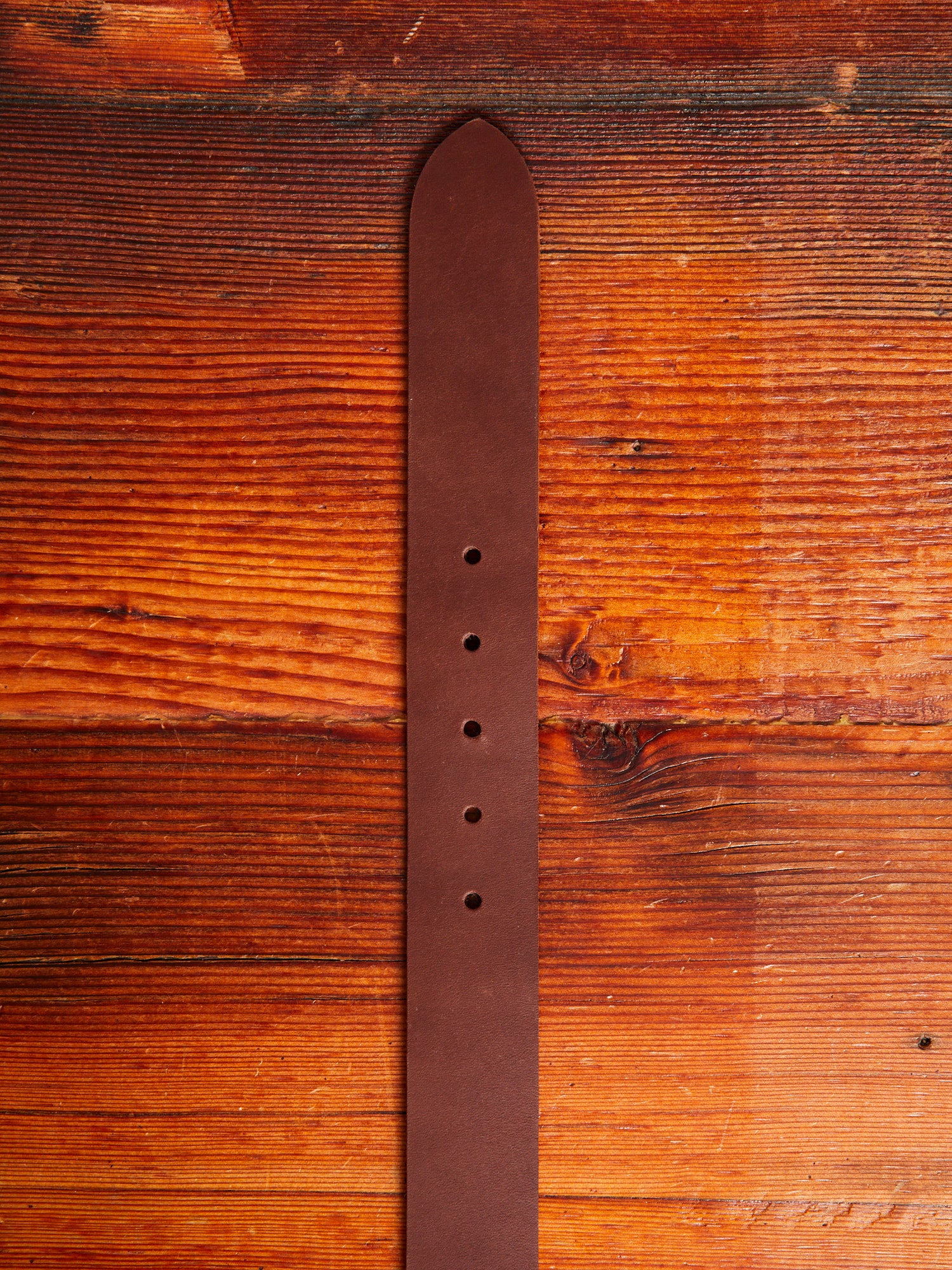 Pioneer Leather Belt in Amber - Image 6