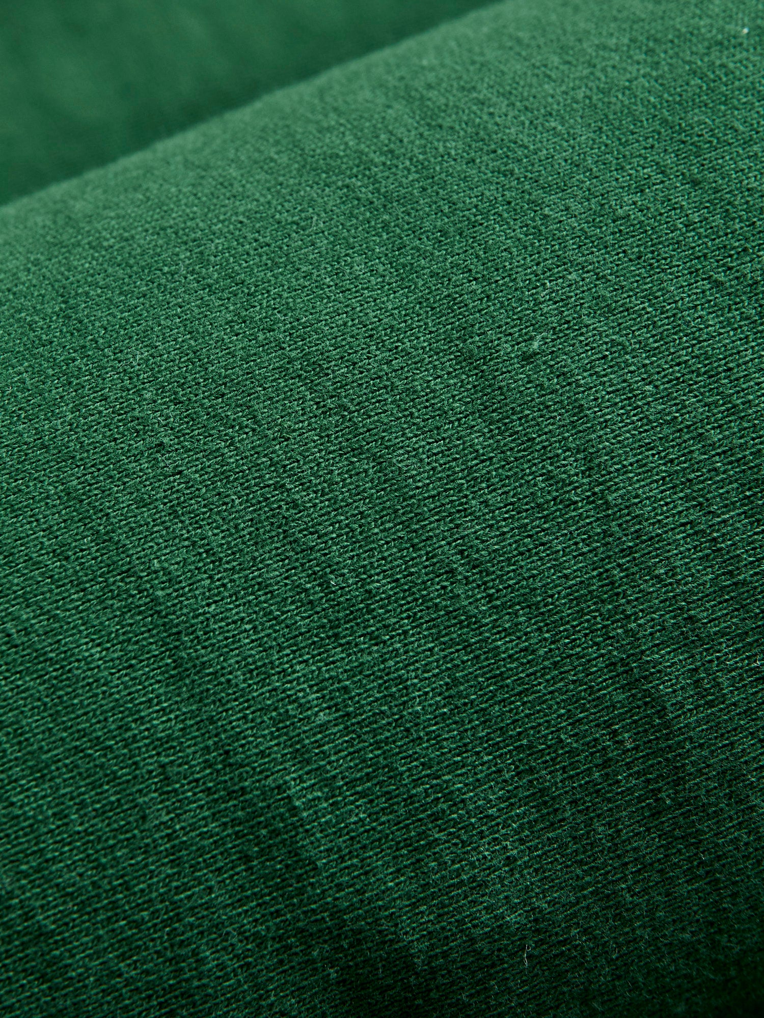 Reverse Weave Heavyweight Pullover Hoodie in Green - Image 7