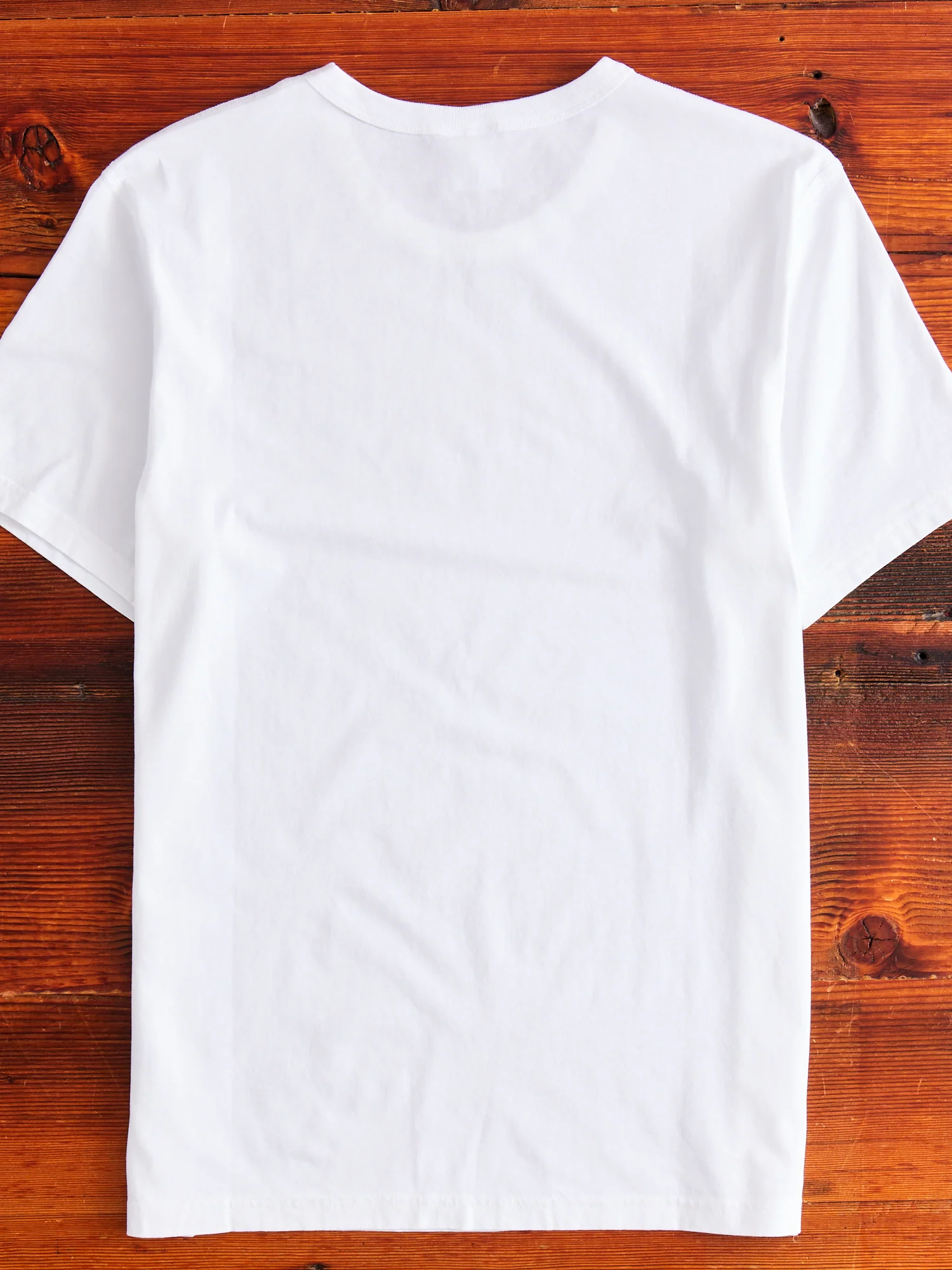 Ringspun Jersey T-shirt in White - Image 6
