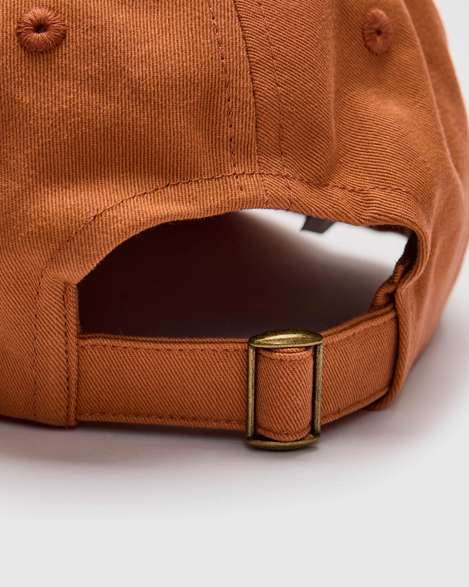Swan Logo Cotton Twill Cap in Pumpkin - Image 5