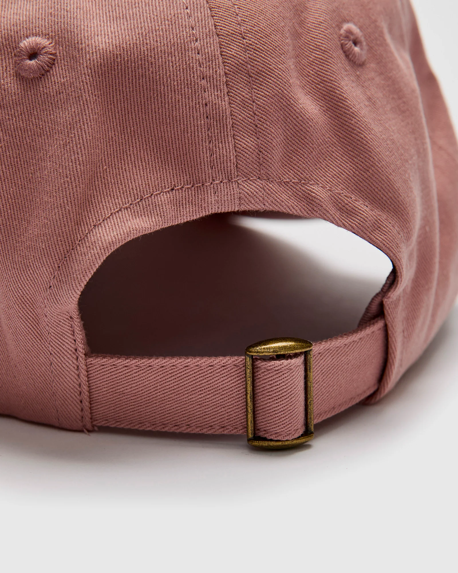 Swan Logo Gabardine Cap in Rosewood - Image 5